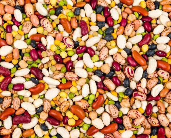 Spilled Bean Mix 2026 web